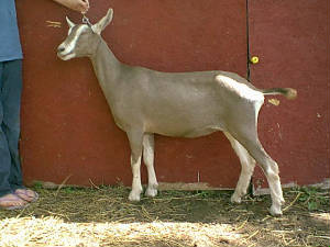 image003.jpg